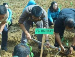 Pemkab Mura Tingkatkan Kuantitas dan Kualitas Produksi Padi