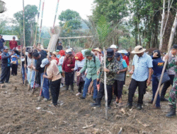 Sinergi Ketahanan Pangan, Bupati Murung Raya Heriyus Pimpin Tanam Padi Gogo dan Dorong Optimalisasi Lahan Tidur