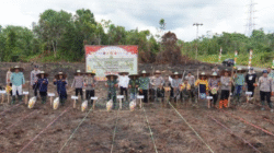 Murung Raya Tunjukkan Sinergi: TNI, Polri, dan Pemerintah Daerah Sukses Gelar Tanam Jagung Serentak