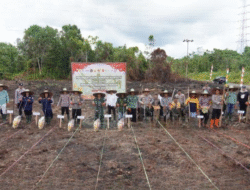Murung Raya Tunjukkan Sinergi: TNI, Polri, dan Pemerintah Daerah Sukses Gelar Tanam Jagung Serentak