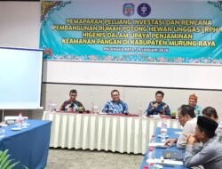 Pemkab Mura Buka Peluang Investasi RPHU untuk Dorong Ekonomi Peternak Lokal
