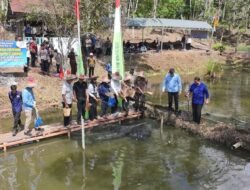 Pemkab Mura Apresiasi Keberhasilan Pokdakan Pakat Sasama dalam Panen Raya Ikan Nila