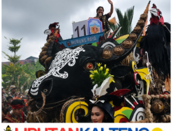 Fokus Promosi Daerah, Wakil Ketua I DPRD Dina Maulidah Nilai FBIM Wadah Tepat Gali Potensi Budaya